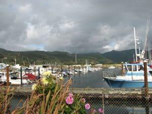 Dungeness Crabbing on Free Public Docks