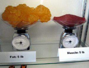 Weight loss and Bodybuilding