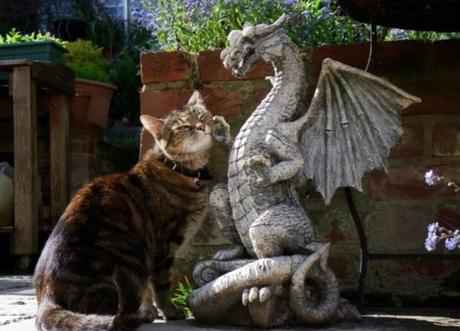 Cat Rubbing on a Dragon Statue