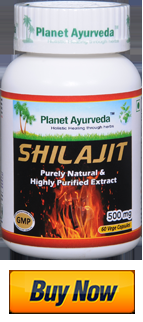 BENEFITS OF USING SHILAJIT AS DAILY HEALTH SUPPLEMENT
