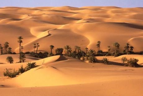 The Top 10 Largest Subtropical Deserts in the Entire World