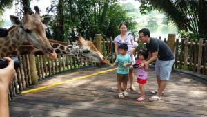 Be Amazed By The Things To Do And See In Singapore