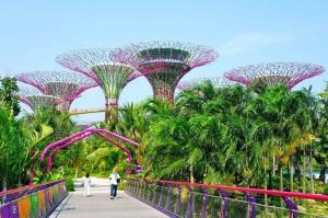 Be Amazed By The Things To Do And See In Singapore