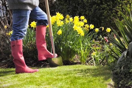 Sheffield tops the list of UK gardening hotspots