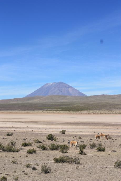 DAILY PHOTO: Earth & Sky in the Andes