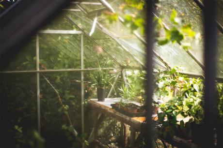 How and why you should build a greenhouse