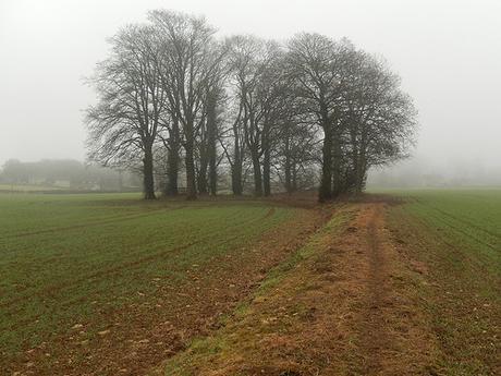 Kingscote and Nailsworth Walk