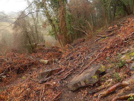 Kingscote and Nailsworth Walk