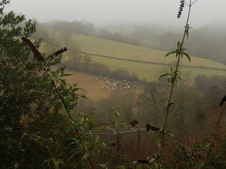 Kingscote and Nailsworth Walk