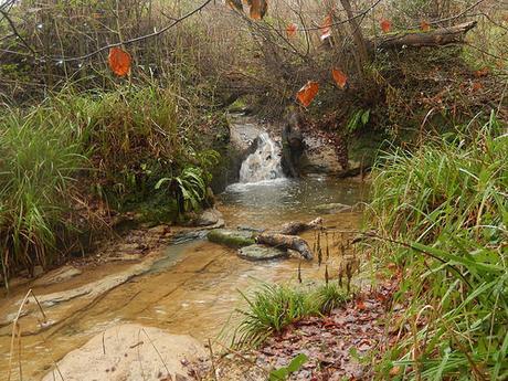 Kingscote and Nailsworth Walk