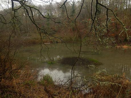 Kingscote and Nailsworth Walk