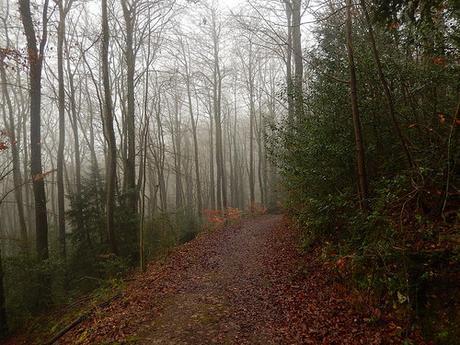 Kingscote and Nailsworth Walk