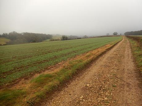 Kingscote and Nailsworth Walk