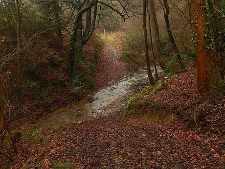 Kingscote and Nailsworth Walk