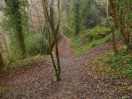 Kingscote and Nailsworth Walk