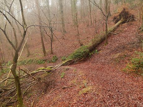 Kingscote and Nailsworth Walk