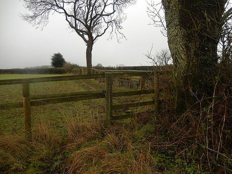 Kingscote and Nailsworth Walk