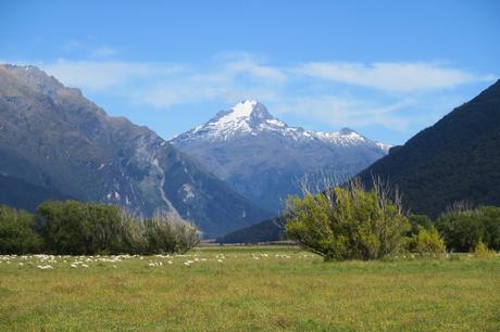 Rethinking New Zealand: Cramped and Crowded and Not For Cycle Touring