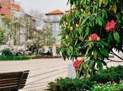 Spring-loaded Praça Carlos Alberto, Porto