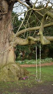 The Snowdrop Walk at Holme Pierrepont Hall