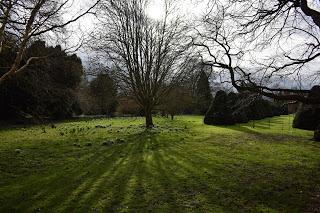 The Snowdrop Walk at Holme Pierrepont Hall