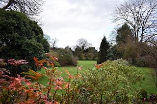 The Snowdrop Walk at Holme Pierrepont Hall