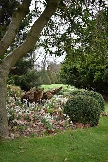 The Snowdrop Walk at Holme Pierrepont Hall