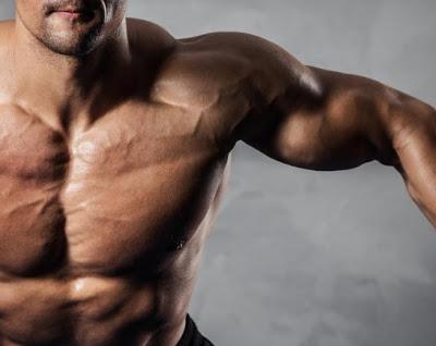 5 Reasons You're Not Building Muscle