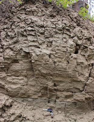 In Search of Layered Pond Muck