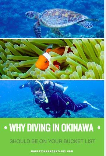 Why Diving in Okinawa, Japan Should Be On Your Bucket List