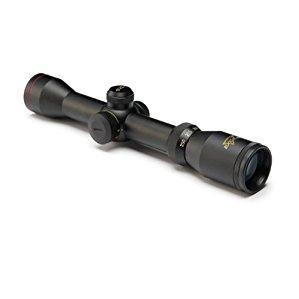 Excalibur Shadow Zone 2-4x32 scope review