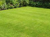 Advantages Organic Lawncare