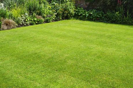 The Advantages of Organic Lawncare