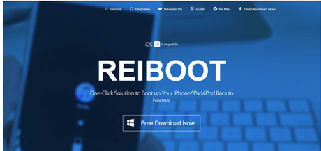 Fix An iPhone Stuck on Apple Logo With Tenorshare Reiboot