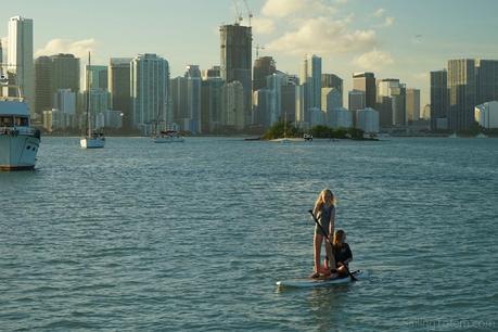 0 Miami skyline