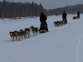 Iditarod 2017: The Race Resumes in Fairbanks Today