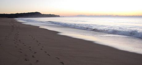 6 Unforgettable South Coast Beaches in Australia