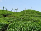 Most Producing Countries Entire World