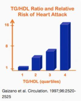 Triglycerides and Heart Disease – What’s the Connection?
