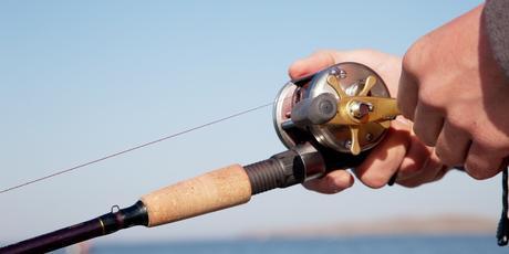 Best Baitcasting Reel