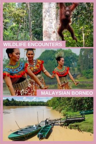 Wildlife Encounters in Malaysian Borneo