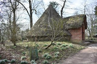 A visit to Croome to see the snowdrops