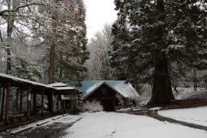 Forest Park: Portland’s Free Urban Nature Sanctuary