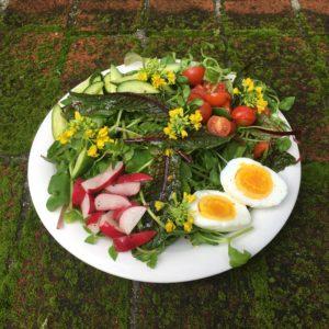 Healthy Recipe: Australian Sunshine Salad
