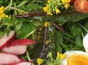 Healthy Recipe: Australian Sunshine Salad