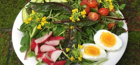 Healthy Recipe: Australian Sunshine Salad