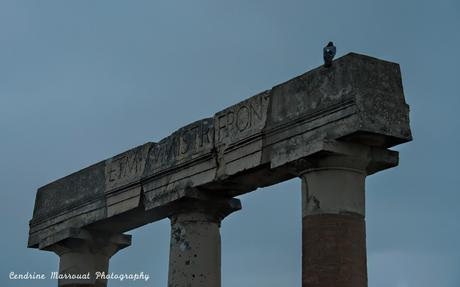Europe 2016 – Pompeii, Italy (2)