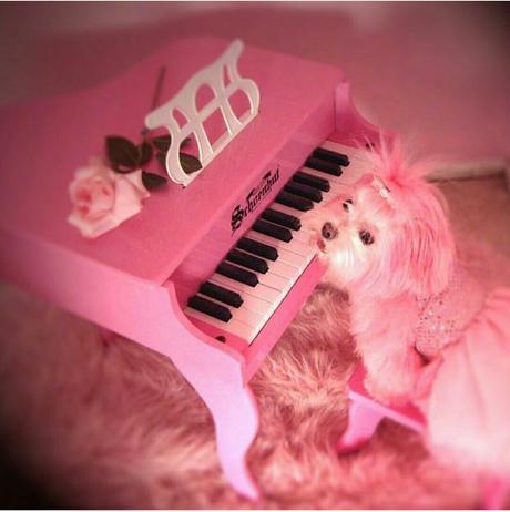 pink woman kitten key Sera