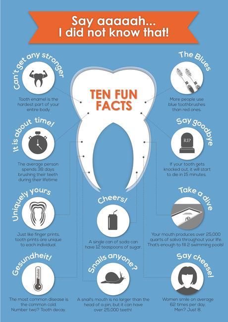 10 Interesting Facts About Your Teeth 10 Interesting Facts About Your Teeth