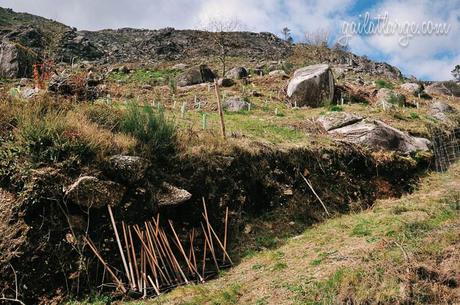 Peneda-Gerês National Park, Portugal